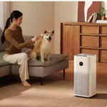 imgi_4_download-75-2